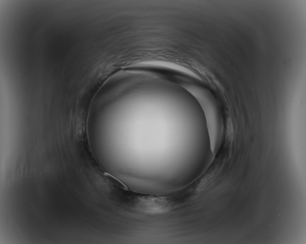 X0000084550517200703021509