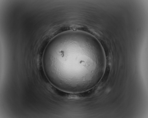 X0000084550519200703021509