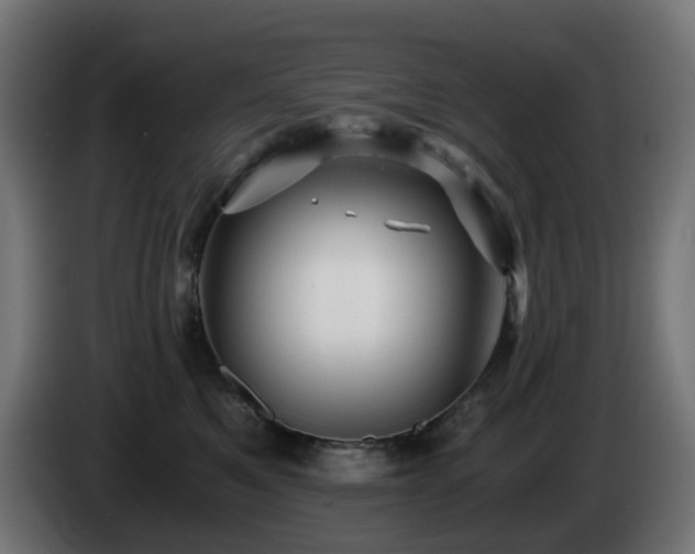 X0000084550521200703021509