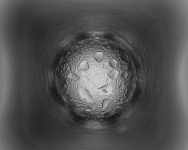 X0000084550523200703021509