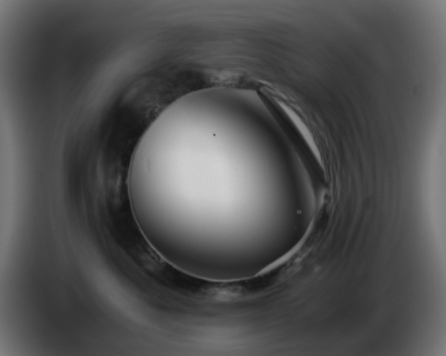 X0000084550525200703021509
