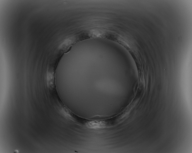 X0000084550526200703021508
