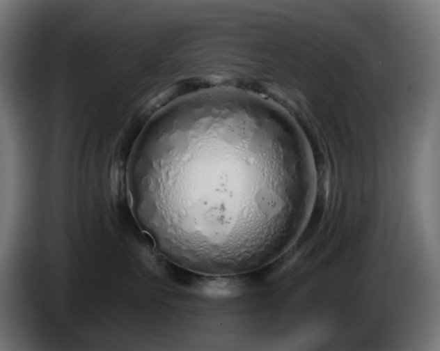 X0000084550527200703021508