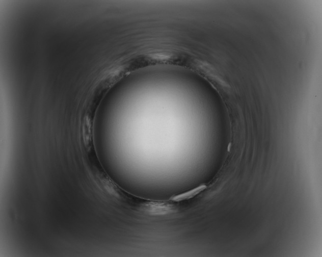 X0000084550528200703021508