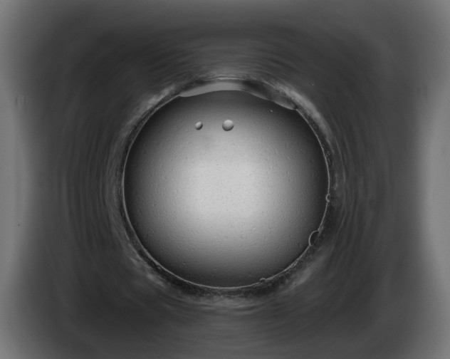 X0000084550529200703021508