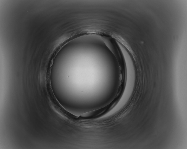 X0000084550530200703021508