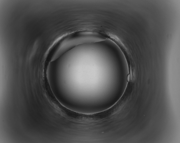 X0000084550531200703021508