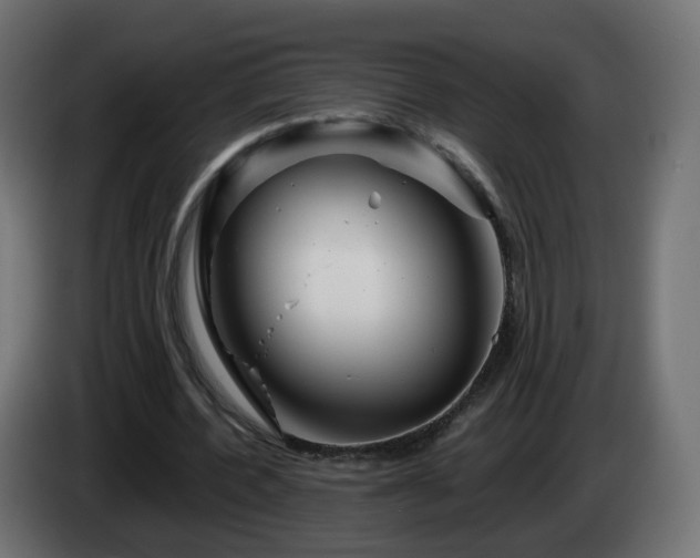 X0000084550532200703021508