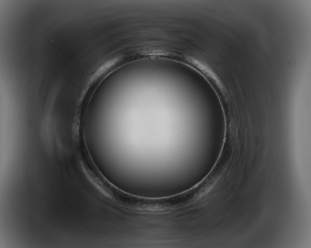 X0000084550533200703021508