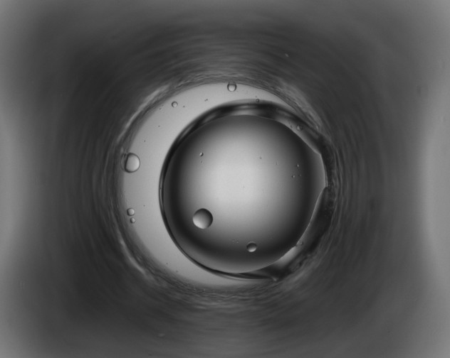 X0000084550534200703021508