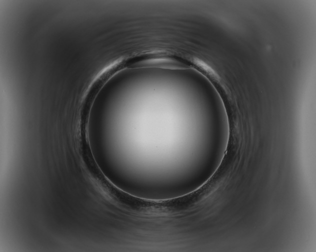X0000084550535200703021508
