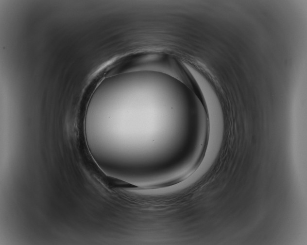 X0000084550536200703021508