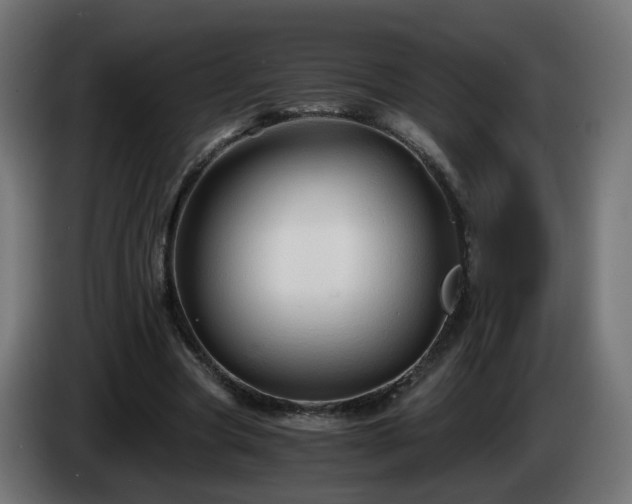 X0000084550537200703021508