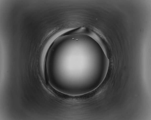 X0000084550538200703021508