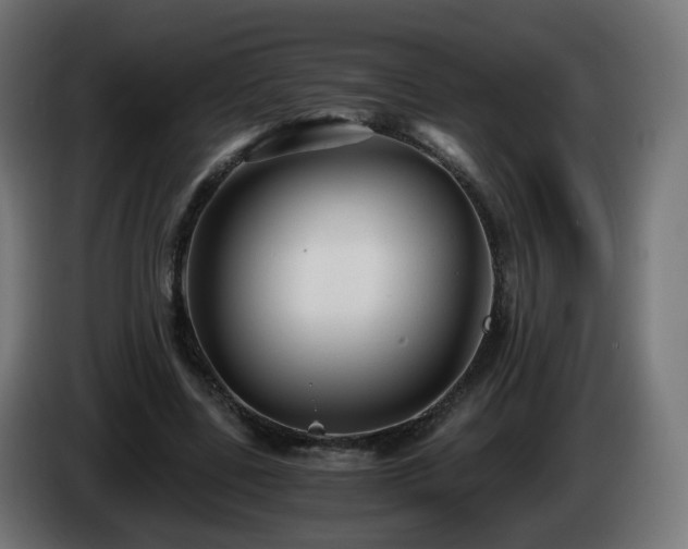 X0000084550539200703021508