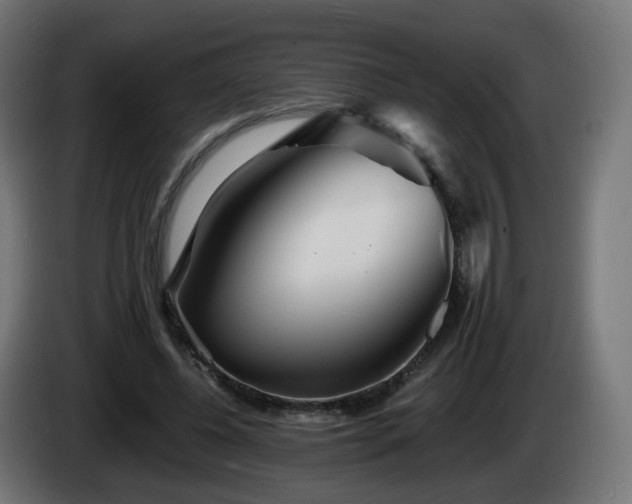 X0000084550540200703021508