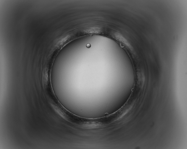 X0000084550541200703021508
