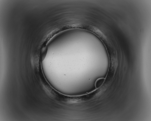 X0000084550542200703021508