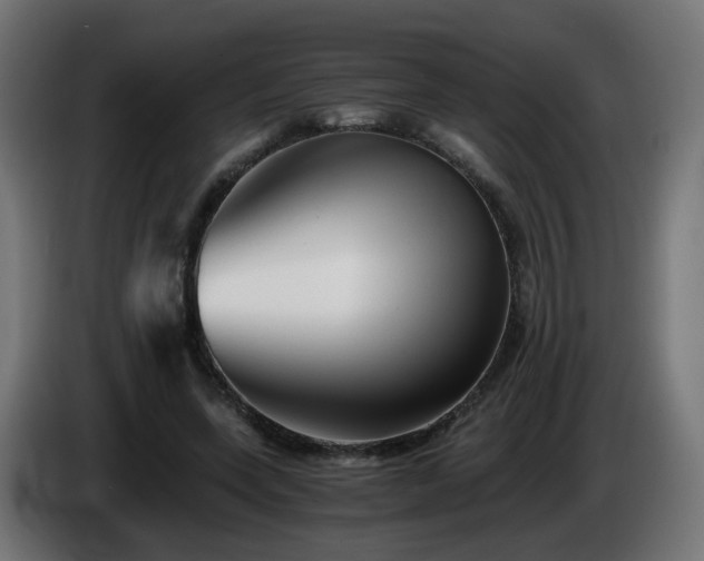 X0000084550543200703021508