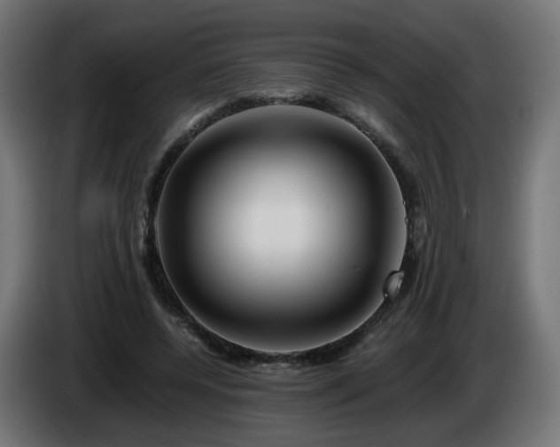 X0000084550544200703021508