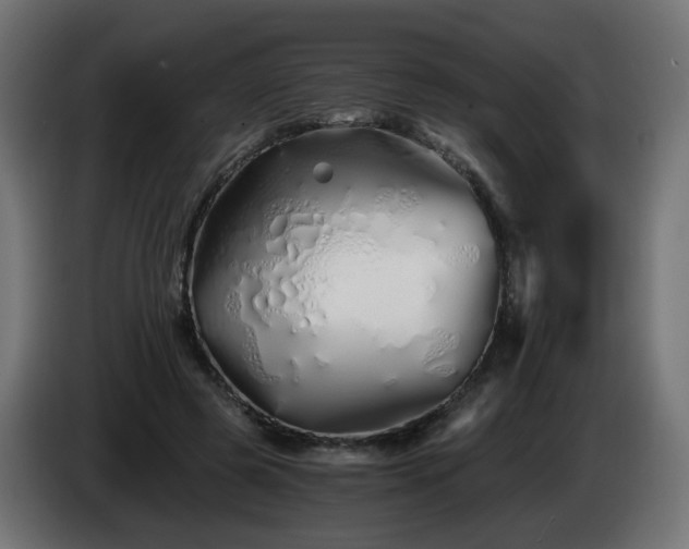 X0000084550545200703021508
