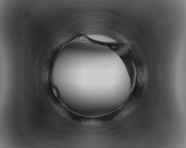 X0000084550546200703021508