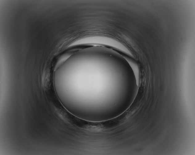 X0000084550548200703021508
