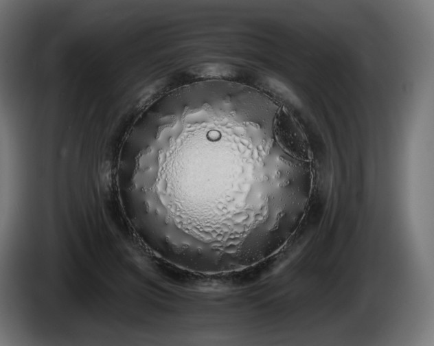 X0000084550549200703021508