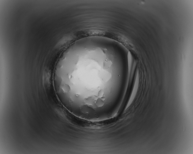 X0000084550550200703021508