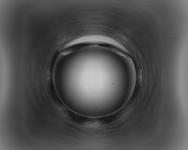 X0000084550551200703021508