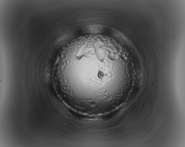 X0000084550553200703021508