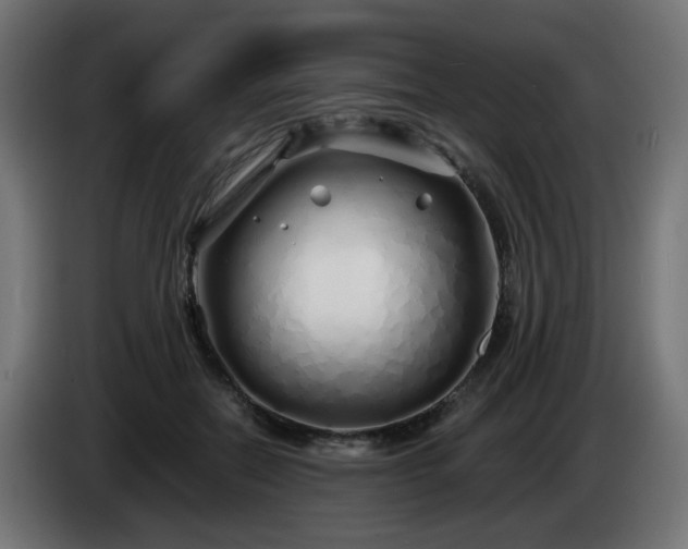 X0000084550554200703021508