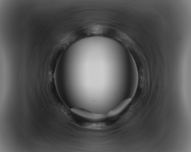 X0000084550555200703021508
