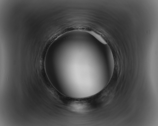 X0000084550556200703021508