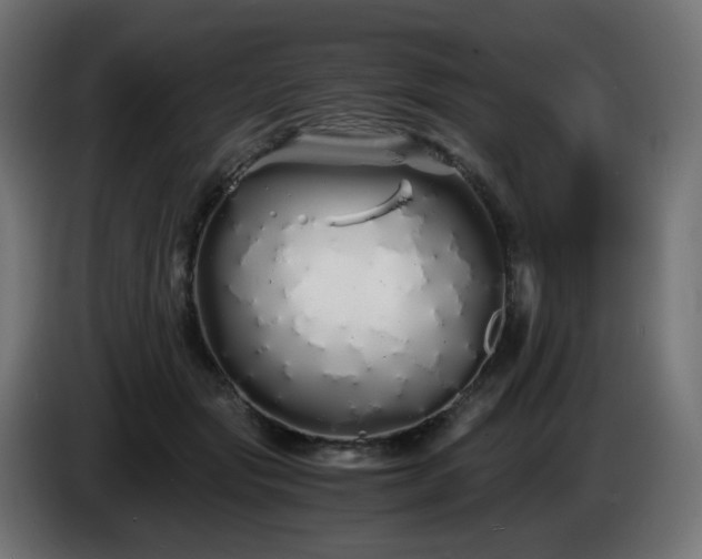 X0000084550557200703021508