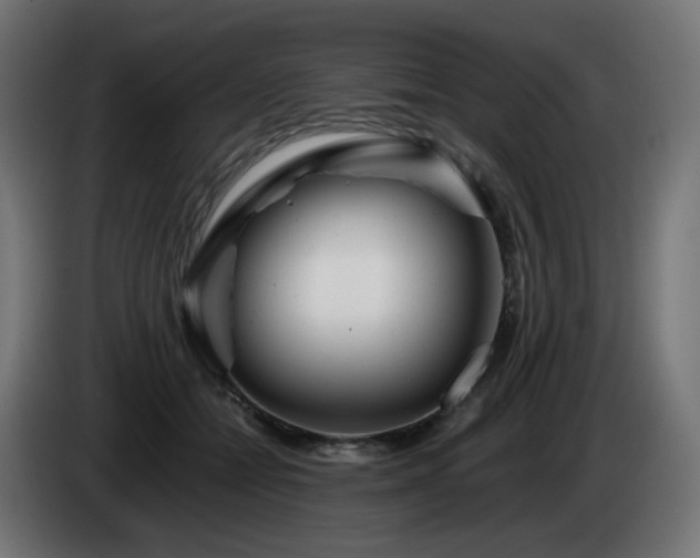 X0000084550558200703021508