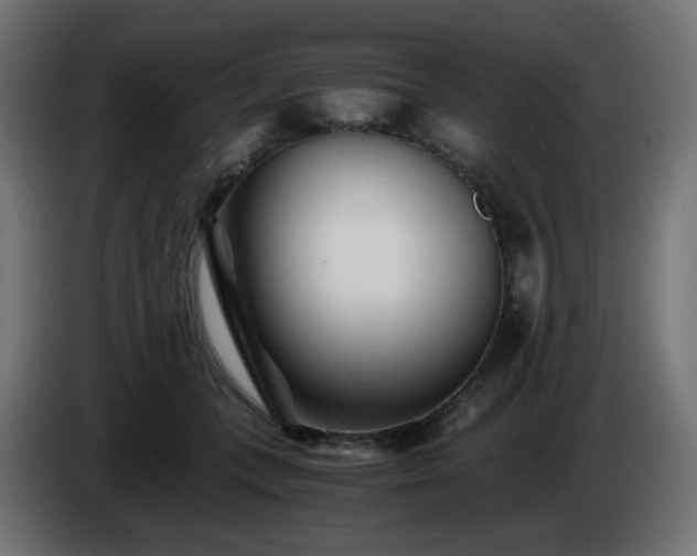 X0000084550559200703021508