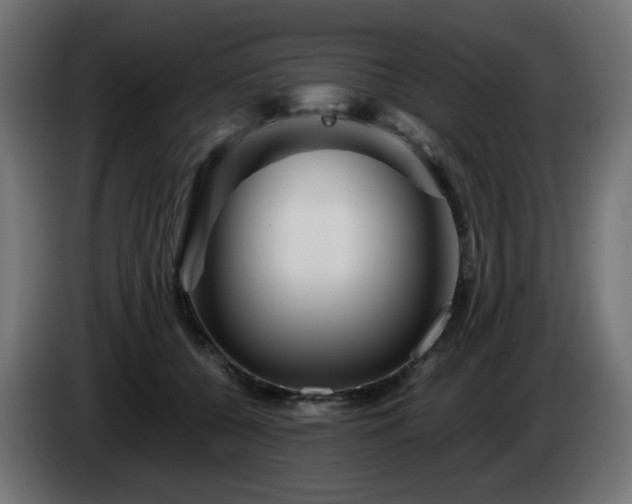 X0000084550560200703021508