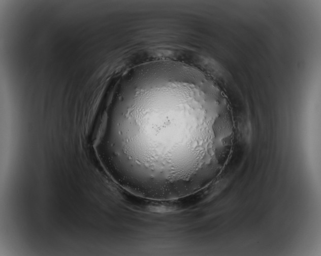X0000084550561200703021508