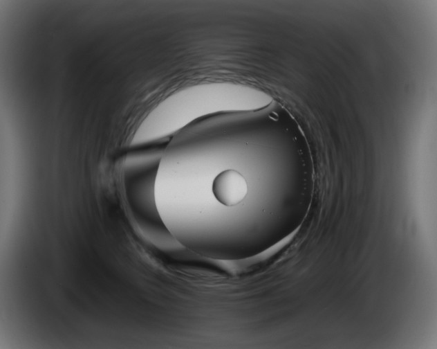 X0000084550566200703021508