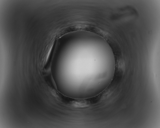 X0000084550567200703021508