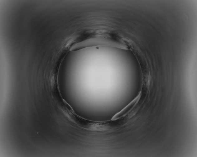 X0000084550568200703021508