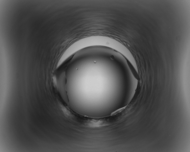 X0000084550570200703021508