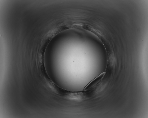 X0000084550571200703021508
