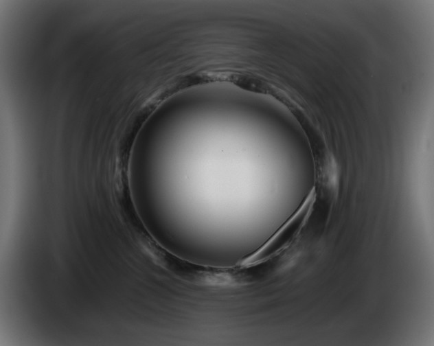X0000084550572200703021508