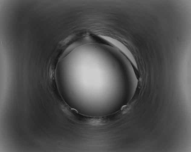 X0000084550574200703021508