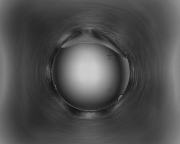 X0000084550575200703021508