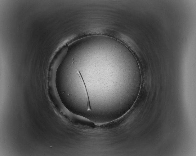 X0000084550578200703021508