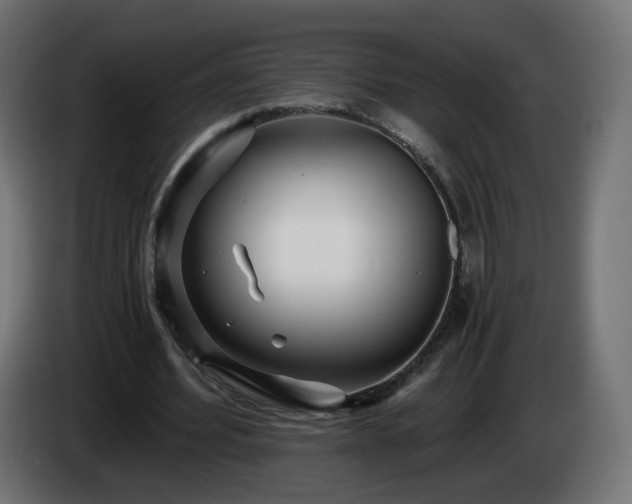 X0000084550580200703021508