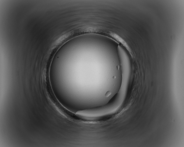 X0000084550581200703021508